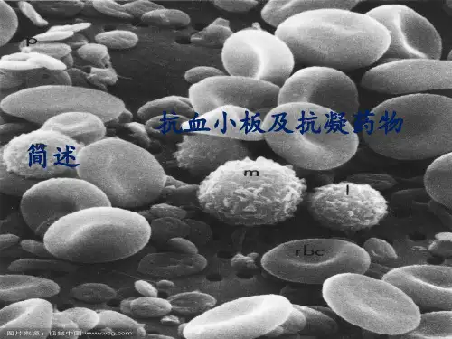 抗血小板聚集及抗凝药物简述