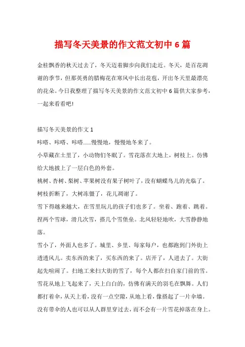 描写冬天美景的作文范文初中6篇