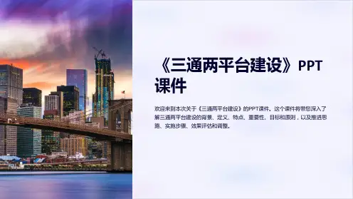 《三通两平台建设》课件