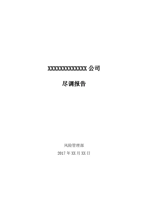 尽调报告模板