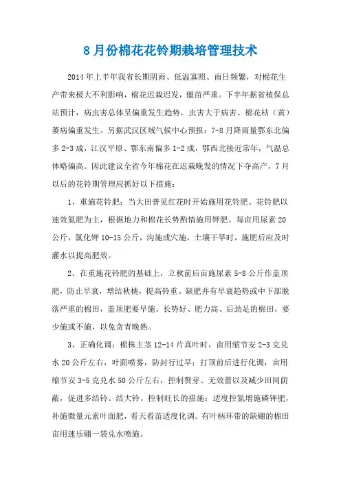 8月份棉花花铃期栽培管理技术