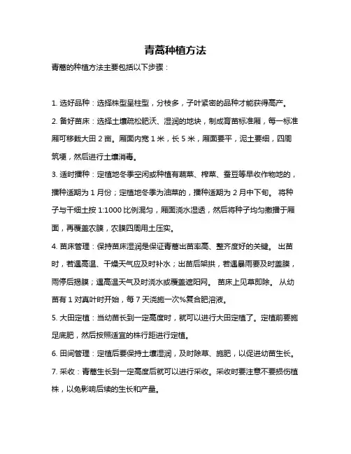 青蒿种植方法