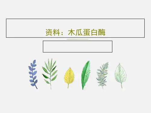 资料：木瓜蛋白酶18页PPT