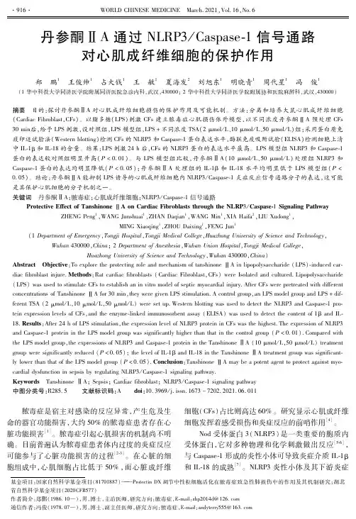 丹参酮ⅡA通过NLRP3Caspase-1信号通路对心肌成纤维细胞的保护作用
