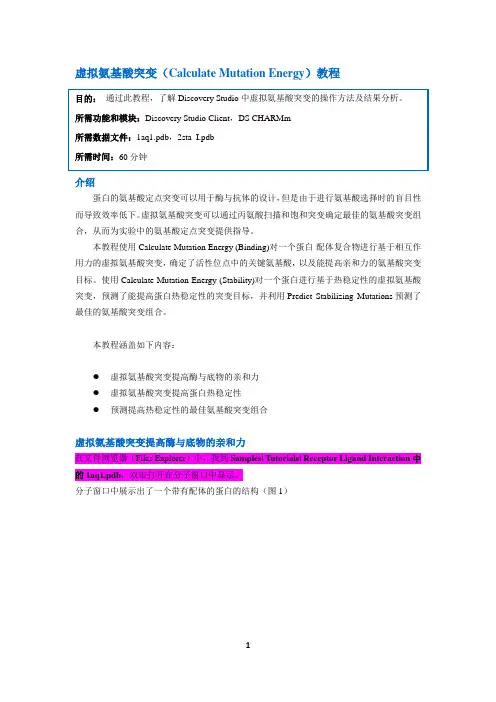 Discovery Studio官方教程--丙氨酸扫描、饱和突变指导蛋白理性设计