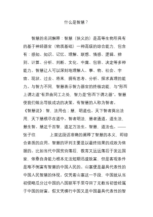 什么是智慧