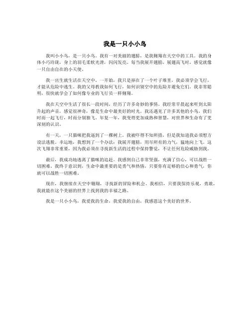 我是一只小小鸟