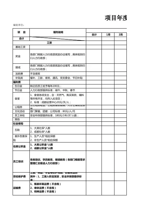 项目年度预算表
