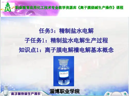 子任务1知识点1：离子膜电解槽电解基本概念汇总