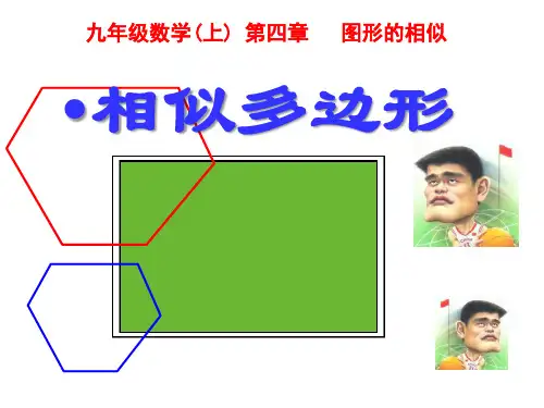 北师大九年级数学上4.3 相似多边形2