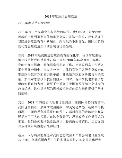 2018年度总结思想政治
