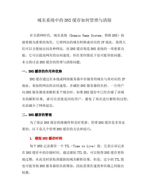 域名系统中的DNS缓存如何管理与清除(八)