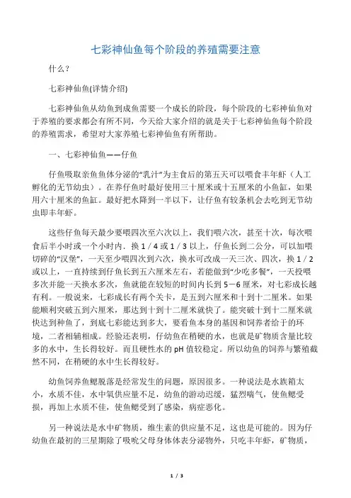 七彩神仙鱼每个阶段的养殖需要注意