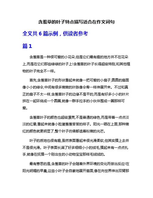 含羞草的叶子特点描写适合在作文词句