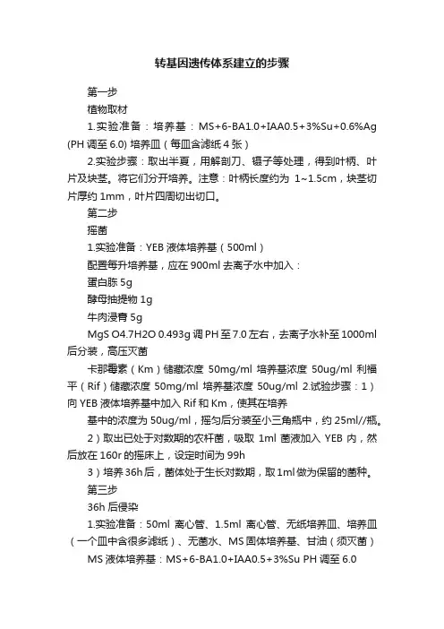 转基因遗传体系建立的步骤