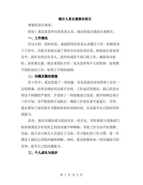 统计人员自查报告范文