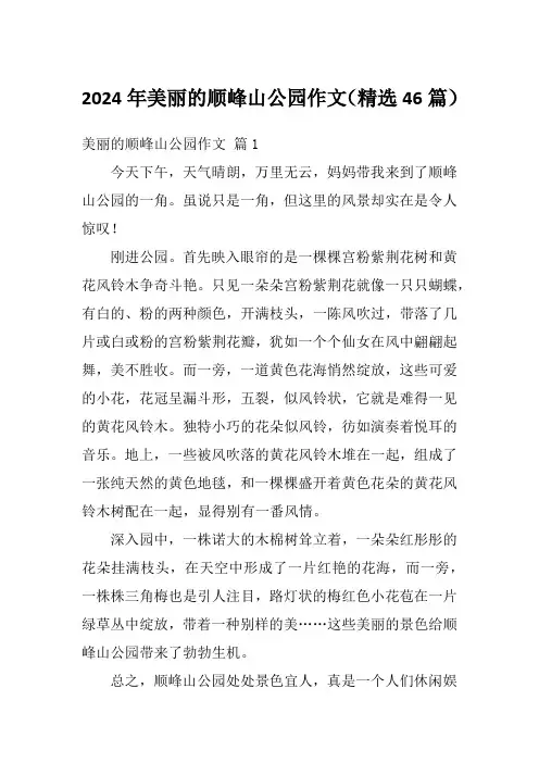 2024年美丽的顺峰山公园作文(精选46篇)