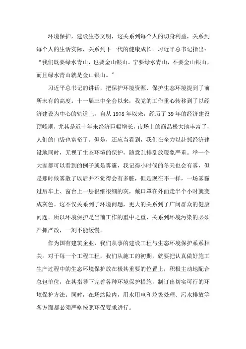 绿水青山就是金山银山心得体会感悟