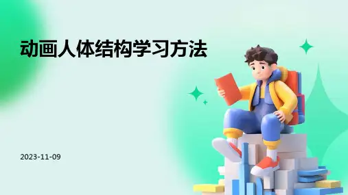 动画人体结构学习方法