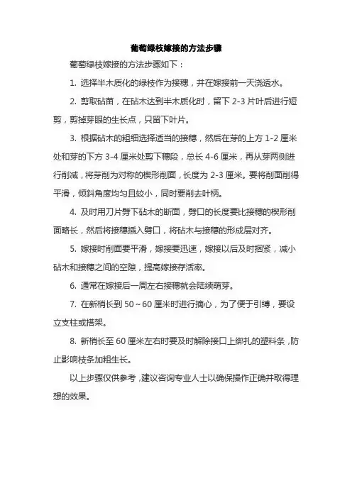 葡萄绿枝嫁接的方法步骤
