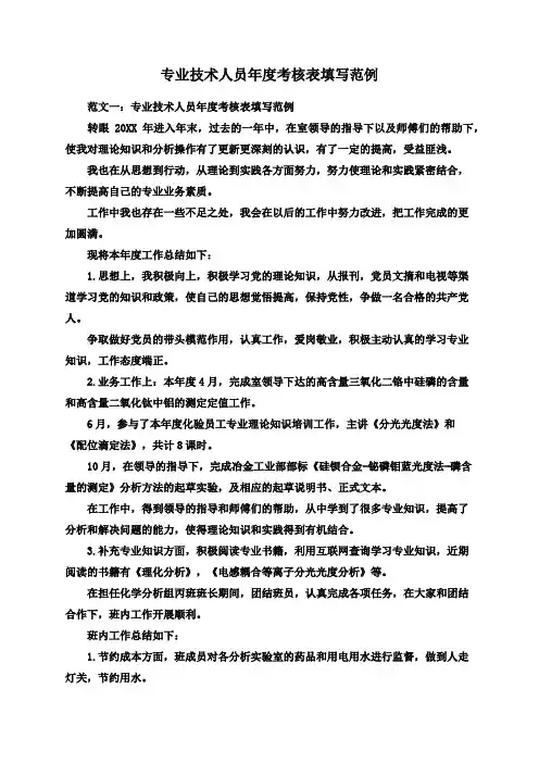 专业技术人员年度考核表填写范例