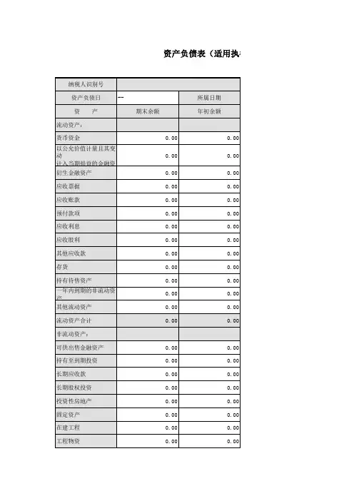 企业会计准则(一般企业)财务报表报送与信息采集