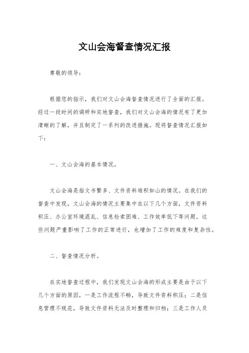文山会海督查情况汇报