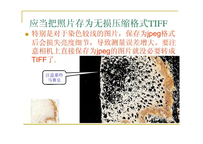 免疫组化定量分析-永诺生物-2