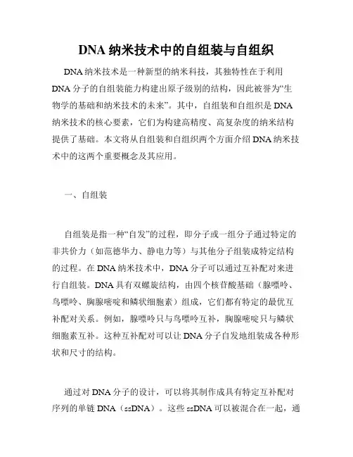 DNA纳米技术中的自组装与自组织