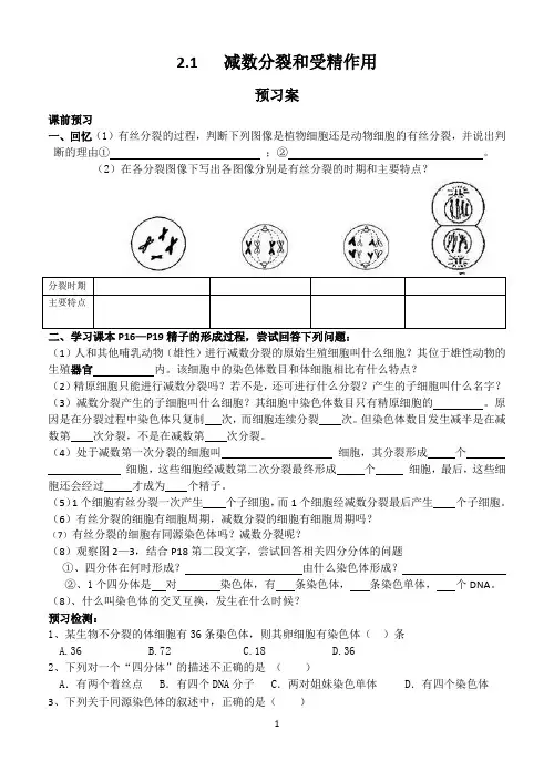 减数分裂和受精作用教学案