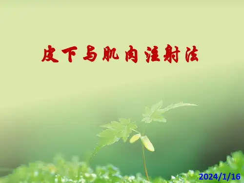 护理学基础皮下及肌肉注射