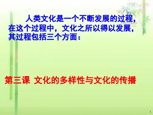 31世界文化的多样性PPT课件