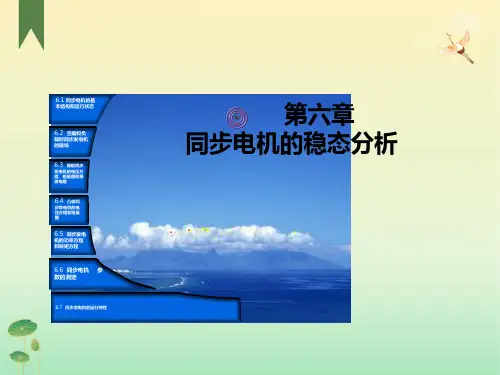 同步电机的稳态运行