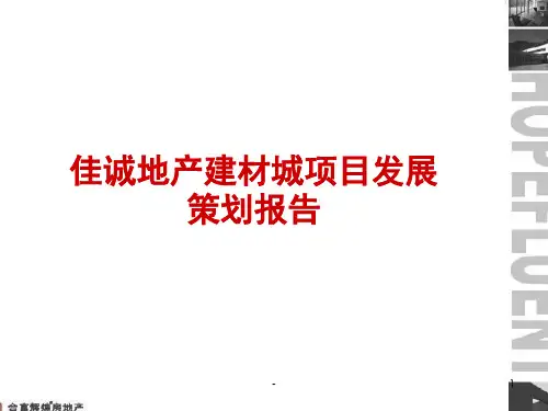 合富辉煌佳诚地产建材城的项目发展的的策划的报告精品文档