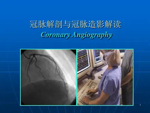 冠脉解剖与冠脉造影解读