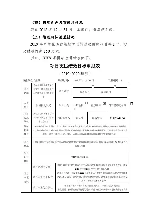 项目支出绩效目标申报表