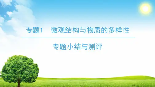 苏教版高中化学必修2《微观结构与物质的多样性》复习课件1