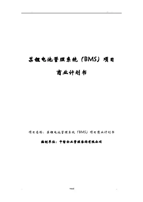 锂电池管理系统(BMS)项目商业实施计划书