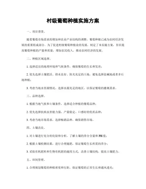村级葡萄种植实施方案