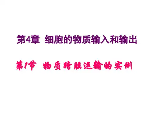 物质跨膜运输的实例和跨膜运输方式一轮复习