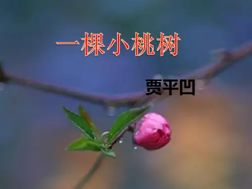 部编人教版 七年级下 贾平凹《一棵小桃树》 优质课件