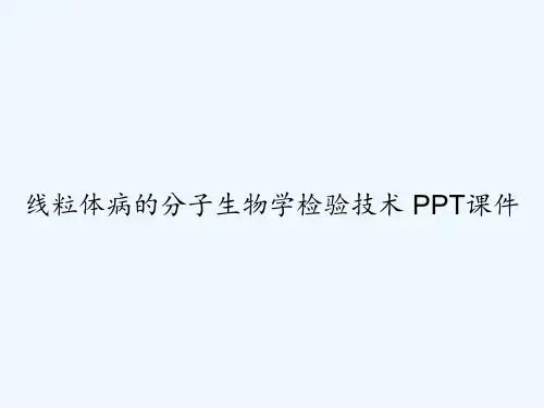 线粒体病的分子生物学检验技术 PPT课件