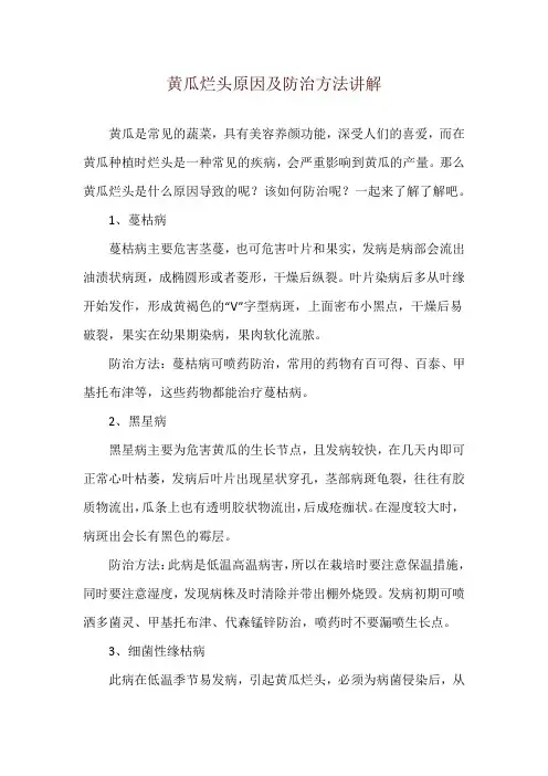 黄瓜烂头原因及防治方法讲解