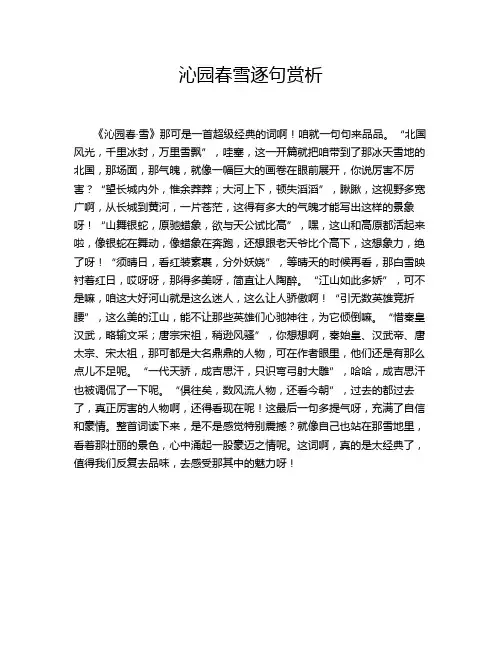 沁园春雪逐句赏析