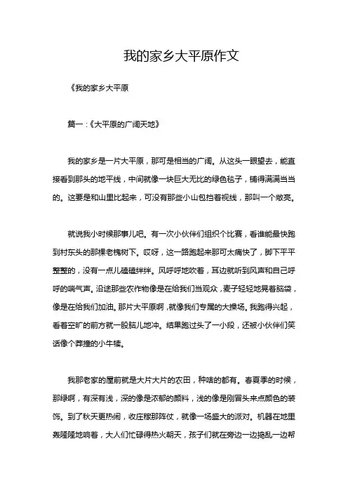 我的家乡大平原作文