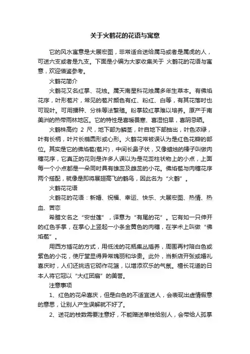 关于火鹤花的花语与寓意