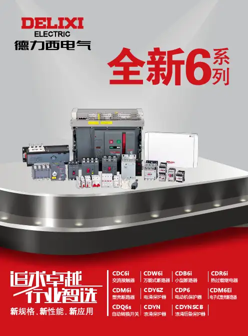 德力西电气 全新6系列产品全集2023年第1版 产品说明书