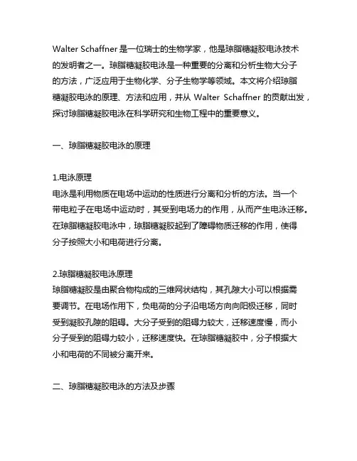 walter schaffner 琼脂糖凝胶电泳