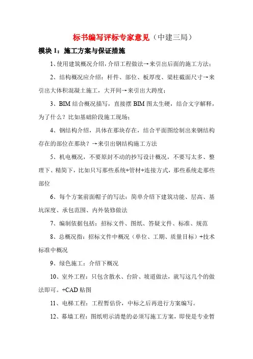 标书撰写注意事项-评标专家意见