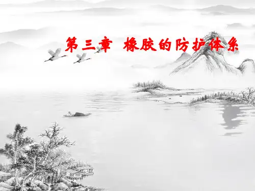 第三章  橡胶防护体系ppt课件(全)